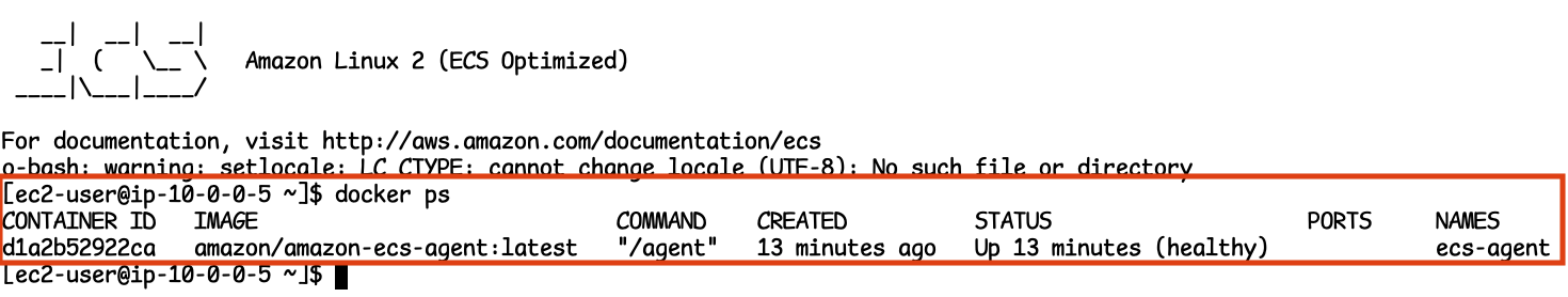 ecs cluster docker