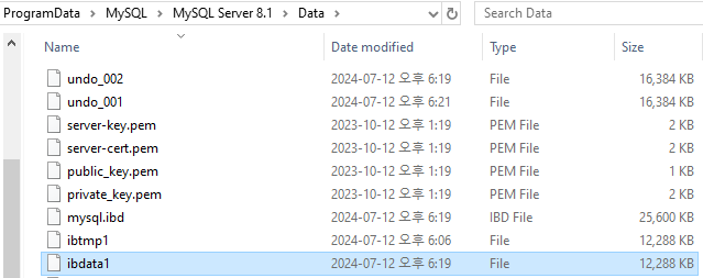ibdata1