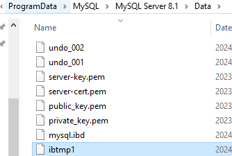 ibtmp1