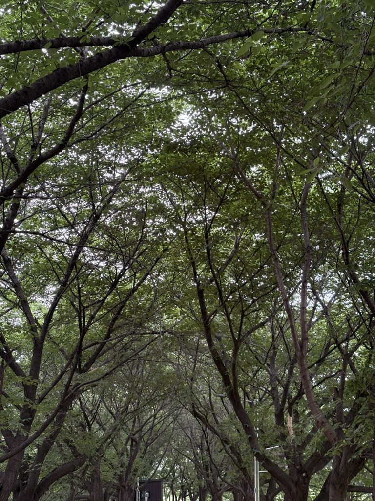 안양천