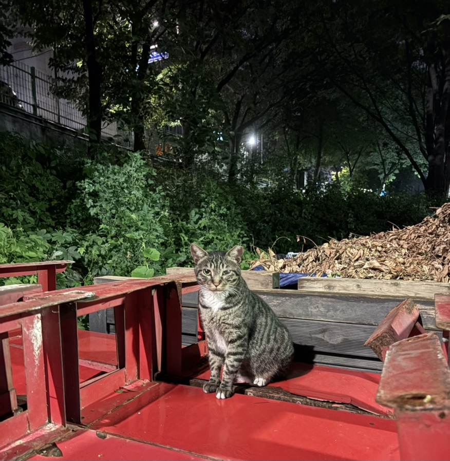 춘장이