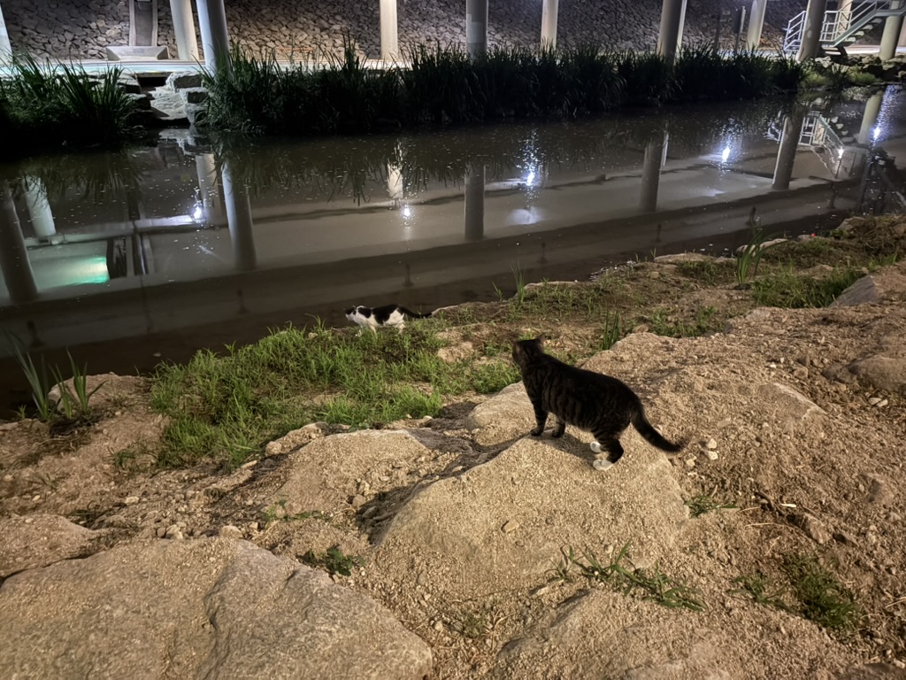 친구와 물마시러가는 춘장이