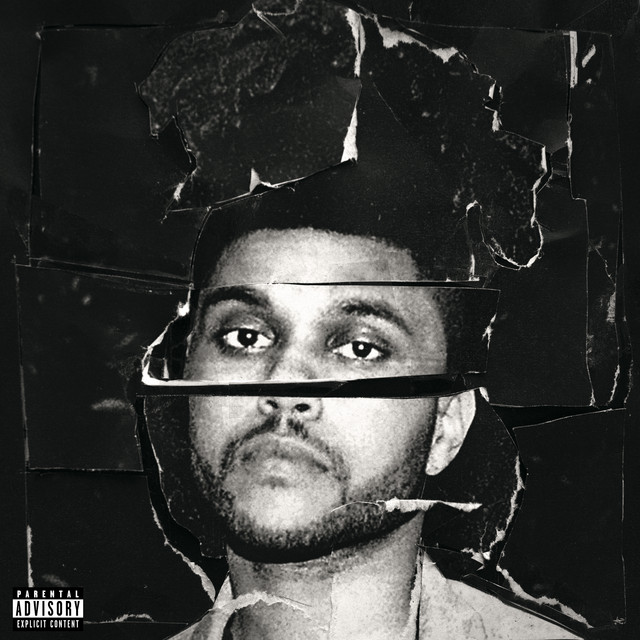 beauty behind the madness.jpeg